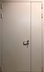 Полуторные глухие двери 02 (порошковое напыление)